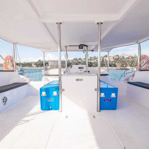 Tiger Catamarans private charter Sydney Harbour