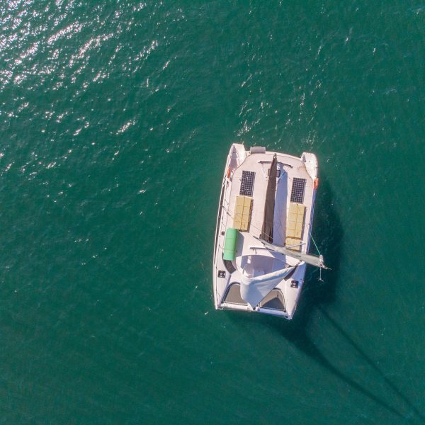 Aerial view of Tiger Catamarans on Sydney Harbour