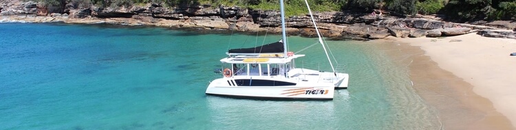 catamaran for hire sydney
