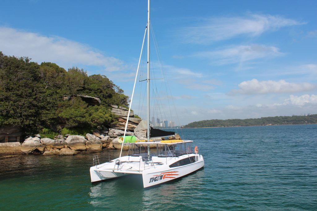 Tiger 3 Catamaran Sydney Harbour
