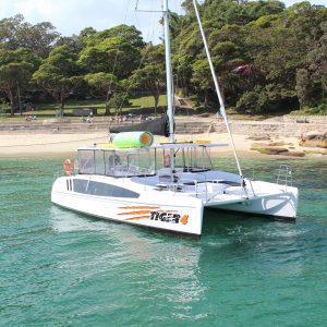 Tiger 3 Catamaran