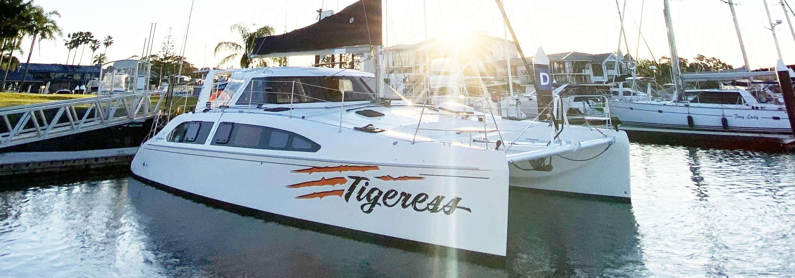 Tigeress at sunset