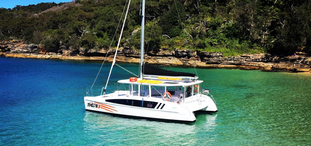 Tiger 4 Catamaran Sydney Harbour