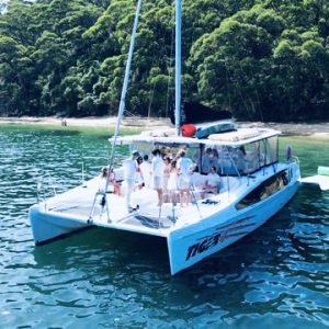 Tiger 3 Catamaran