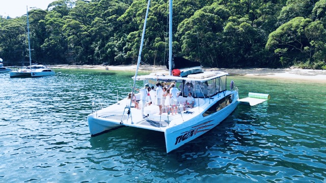 Tiger 3 catamaran front view on Sydney Harbour