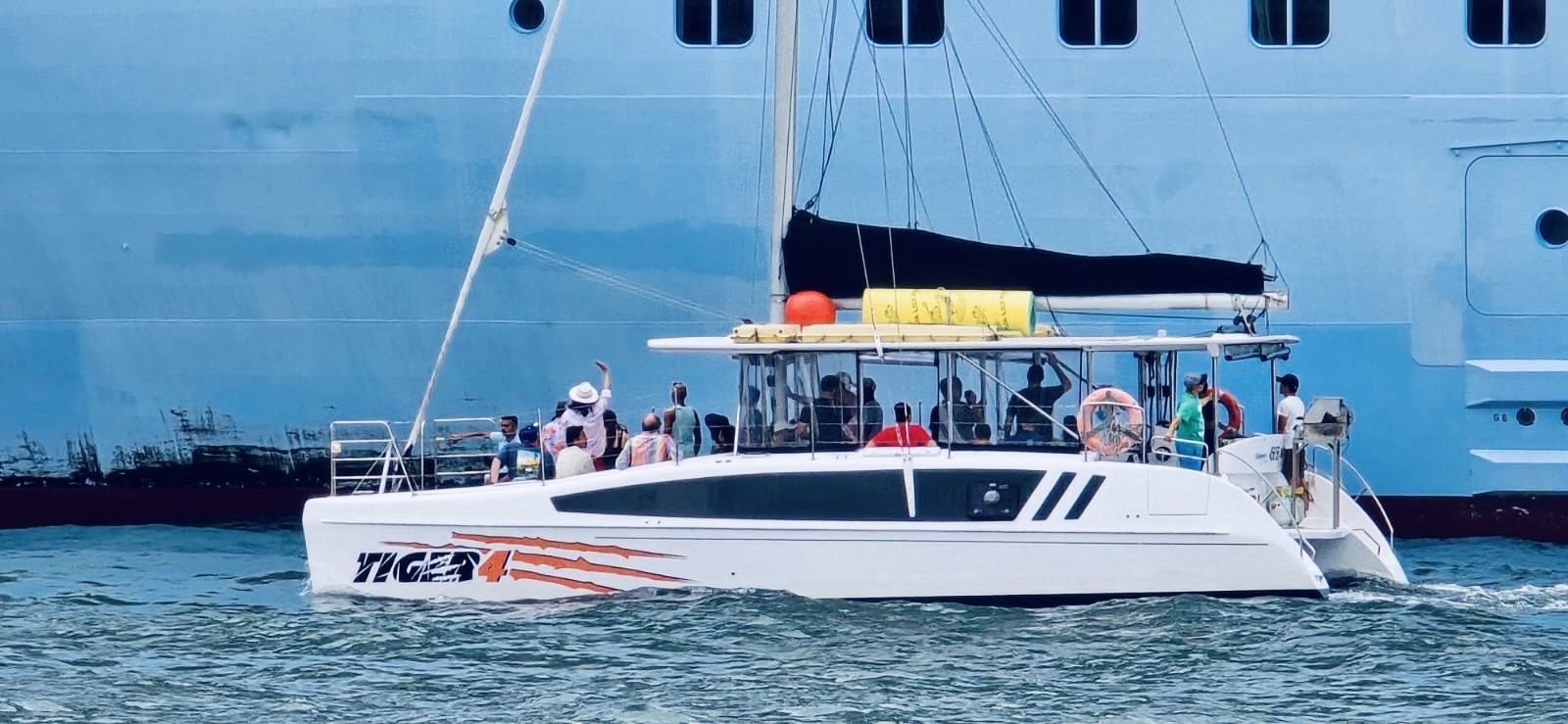 Tiger 4 catamaran on Sydney Harbour for a corporate charter