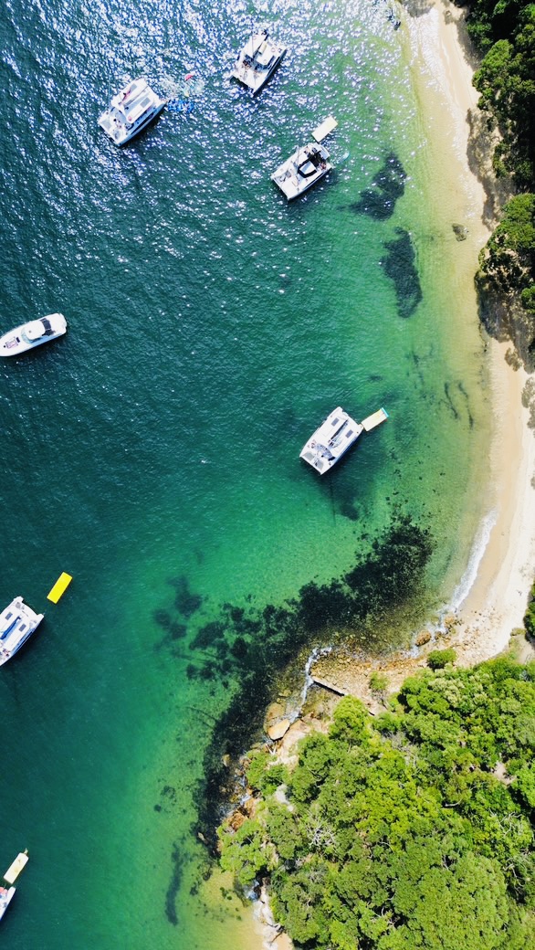 Aerial view of a Sydney Harbour anchorage bay near Rose Bay