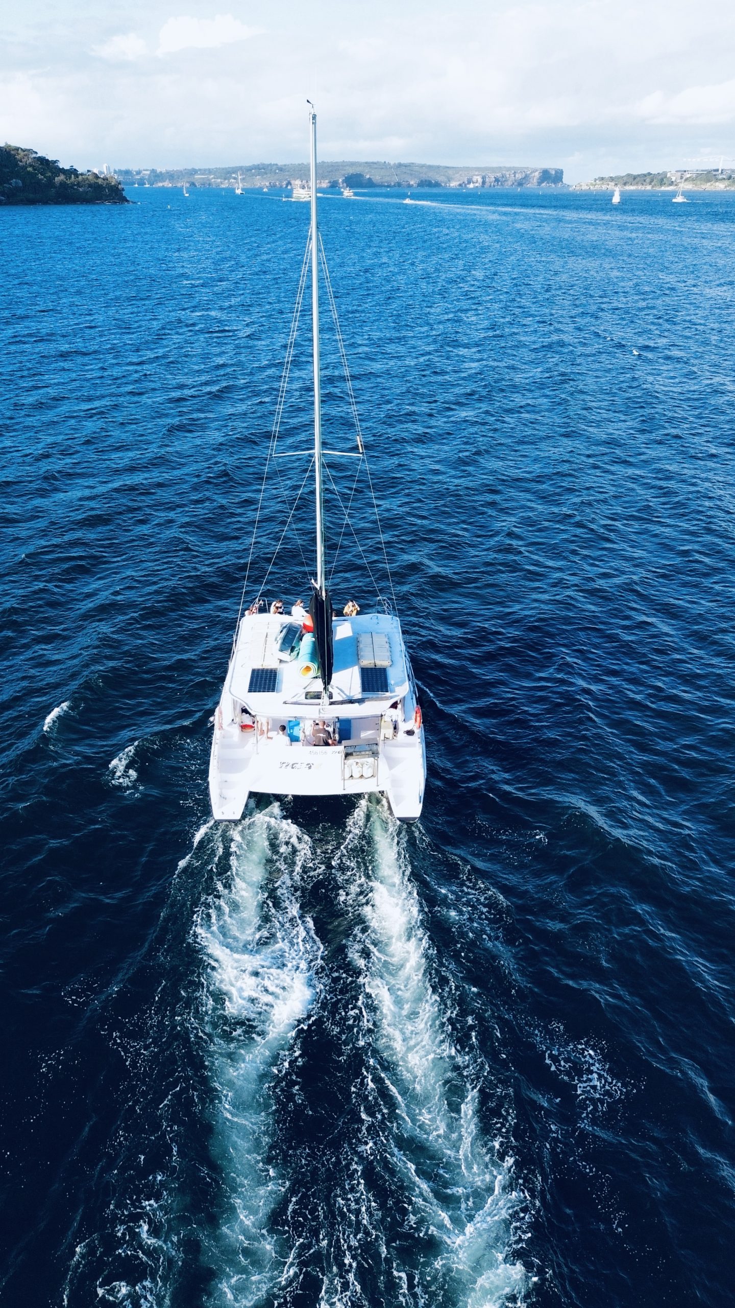 Tiger catamaran underway on Sydney Harbour, aerial view