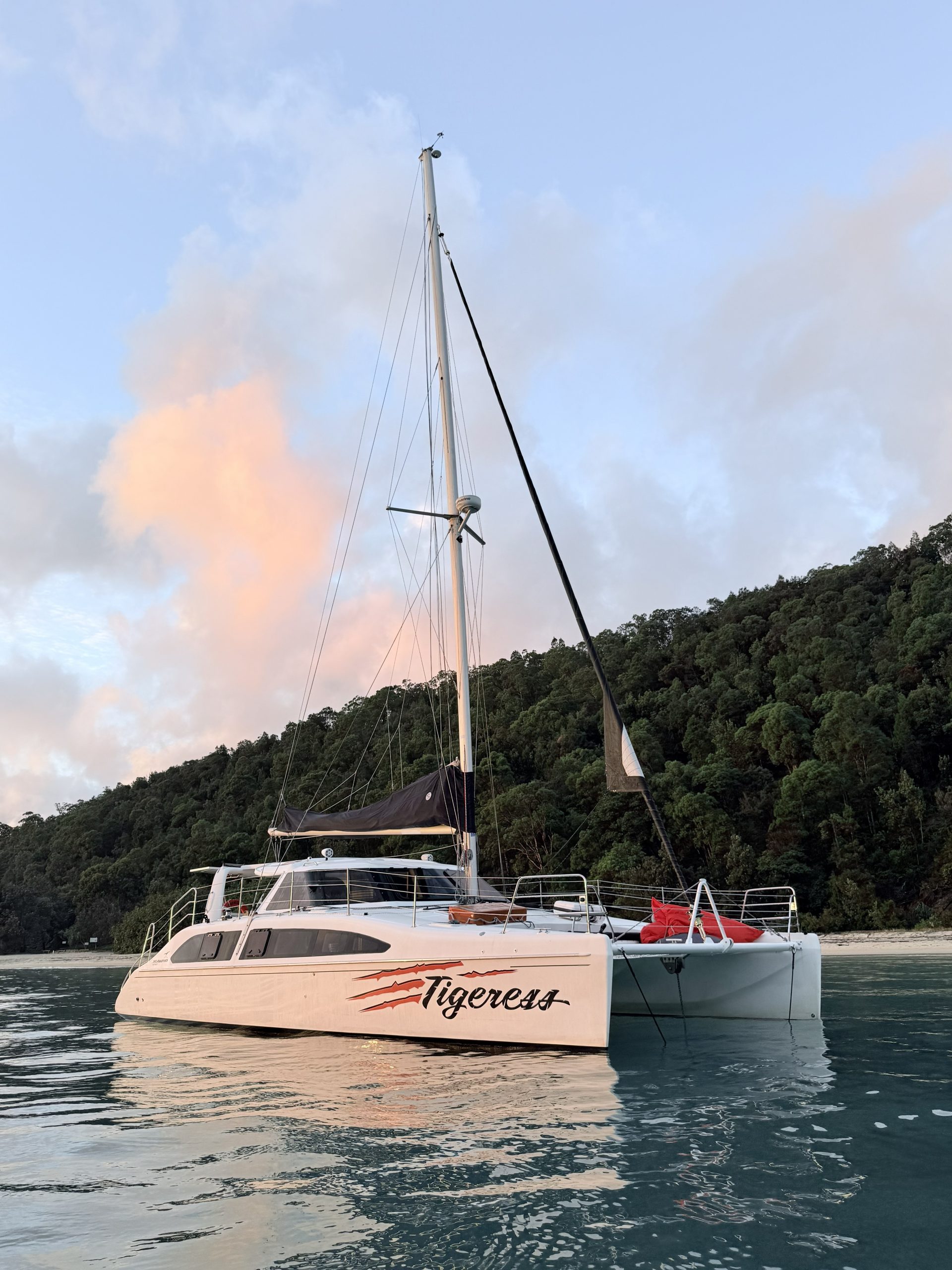 Tigeress catamaran anchored in a sheltered Sydney Harbour bay