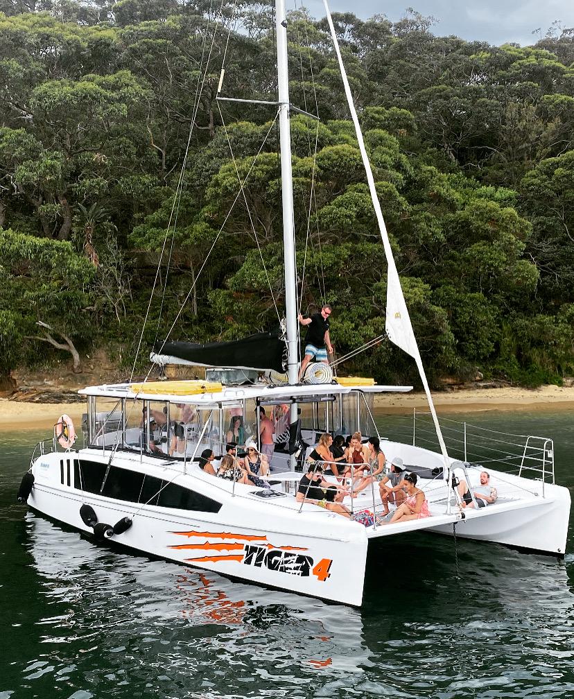 Guests onboard Tiger 4 catamaran near a Sydney Harbour beach